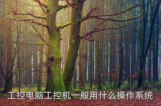工控類系統(tǒng)，什么是工控電腦