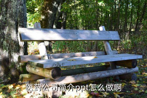 醫(yī)藥公司簡介ppt怎么做啊