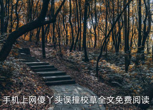 手機上網(wǎng)傻丫頭誤撞校草全文免費閱讀