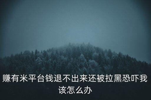 賺有米平臺(tái)錢退不出來還被拉黑恐嚇我該怎么辦