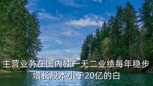主營(yíng)業(yè)務(wù)在國(guó)內(nèi)獨(dú)一無(wú)二業(yè)績(jī)每年穩(wěn)步增長(zhǎng)股本小于20億的白