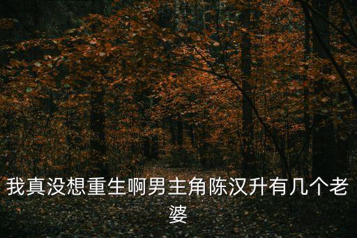 我真沒(méi)想重生啊男主角陳漢升有幾個(gè)老婆