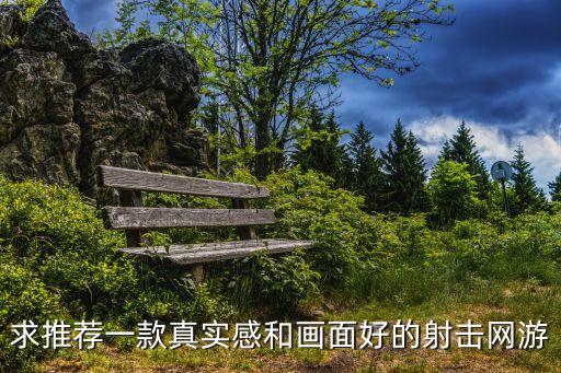 求推薦一款真實(shí)感和畫(huà)面好的射擊網(wǎng)游