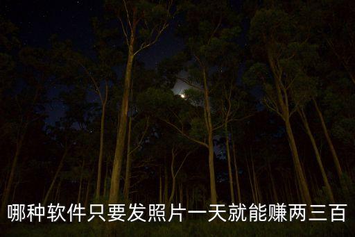 哪種軟件只要發(fā)照片一天就能賺兩三百