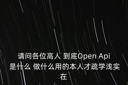 請問各位高人 到底Open Api 是什么 做什么用的本人才疏學淺實在