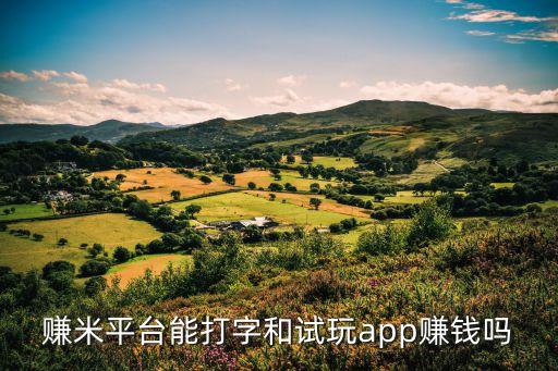 賺米平臺app，賺米平臺能打字和試玩app賺錢嗎