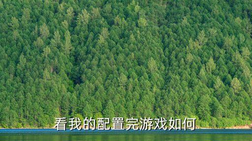 看我的配置完游戲如何