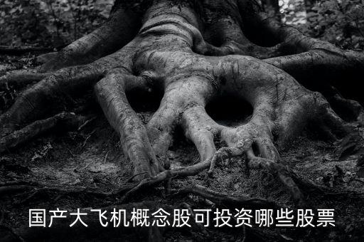 國產(chǎn)大飛機概念股可投資哪些股票