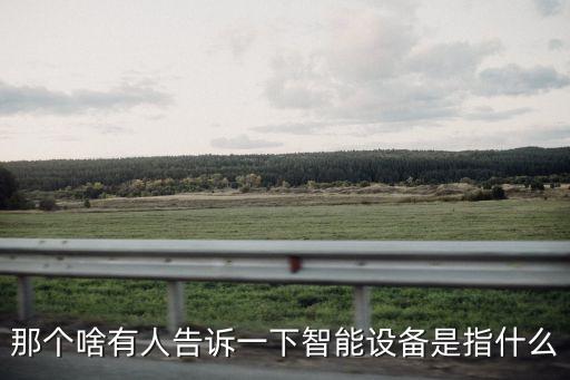 那個啥有人告訴一下智能設(shè)備是指什么
