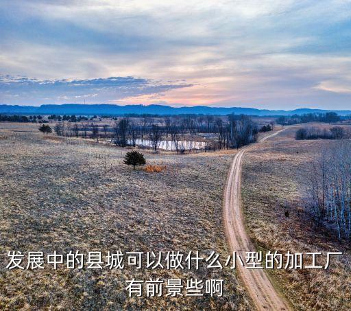 發(fā)展中的縣城可以做什么小型的加工廠有前景些啊