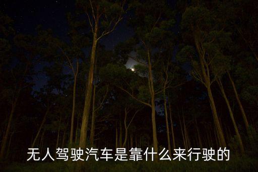 自動無人駕駛汽車，無人駕駛里有哪些車