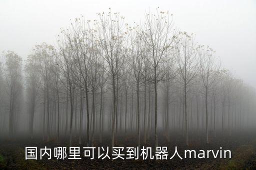 國內(nèi)哪里可以買到機(jī)器人marvin