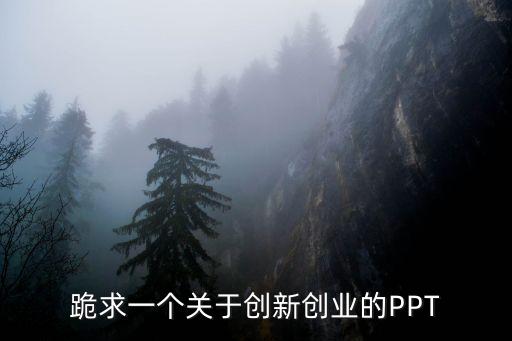 跪求一個(gè)關(guān)于創(chuàng)新創(chuàng)業(yè)的PPT