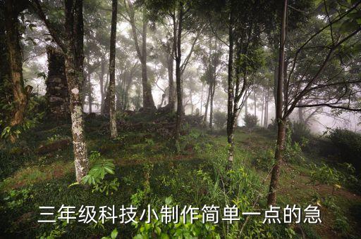 三年級(jí)科技小制作簡(jiǎn)單一點(diǎn)的急