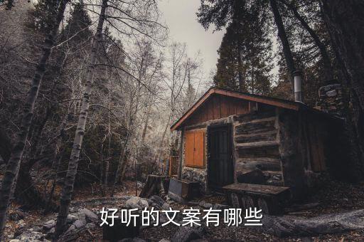文案模板，好聽的文案有哪些