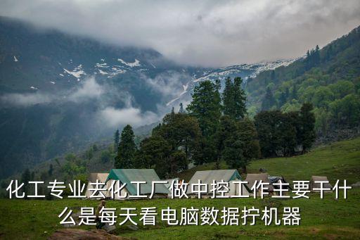 化工專業(yè)去化工廠做中控工作主要干什么是每天看電腦數(shù)據(jù)擰機器