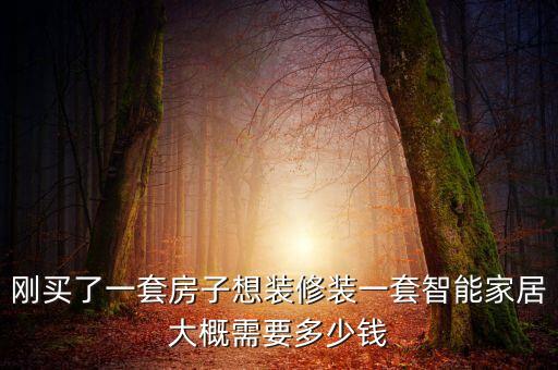剛買了一套房子想裝修裝一套智能家居大概需要多少錢