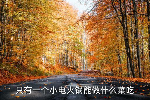 小型電炒鍋可以做哪些菜，寢室用的電炒鍋可以做什么好吃的