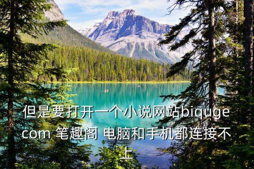 但是要打開一個(gè)小說網(wǎng)站biqugecom 筆趣閣 電腦和手機(jī)都連接不上