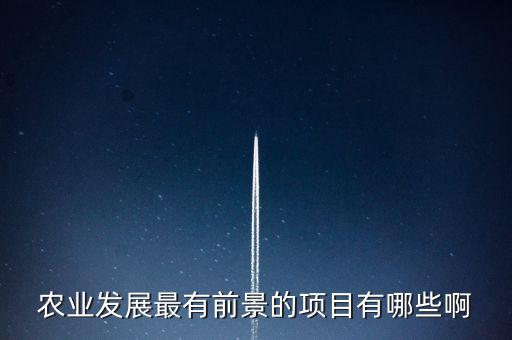 農(nóng)業(yè)發(fā)展最有前景的項(xiàng)目有哪些啊