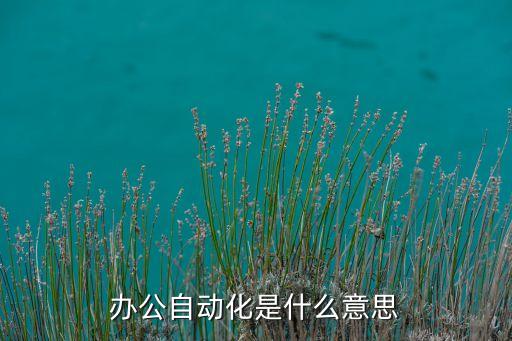 辦公室自動(dòng)化什么意思，辦公自動(dòng)化指的什么