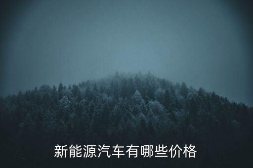 新能源汽車 價(jià)格，購(gòu)買一輛新能源電動(dòng)汽車價(jià)格需要多少錢