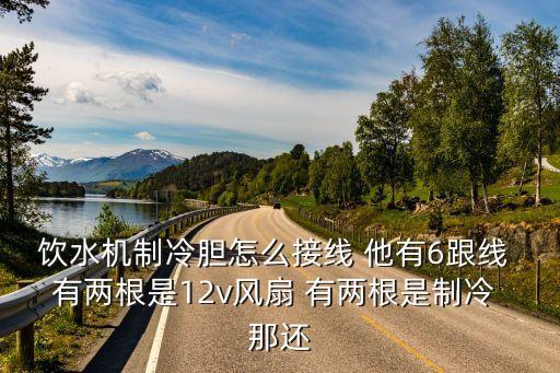 飲水機(jī)制冷膽怎么接線 他有6跟線 有兩根是12v風(fēng)扇 有兩根是制冷 那還