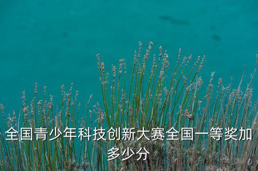 全國青少年科技創(chuàng)新大賽全國一等獎加多少分