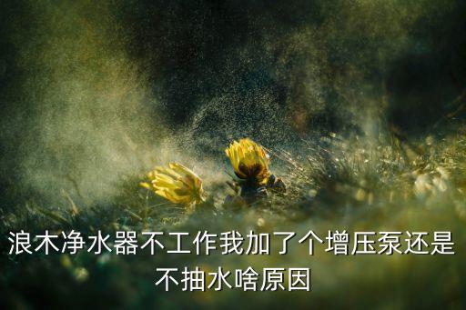 浪木水科技飲水機(jī)怎么抽不上來(lái)水，浪木凈水器不工作我加了個(gè)增壓泵還是不抽水啥原因