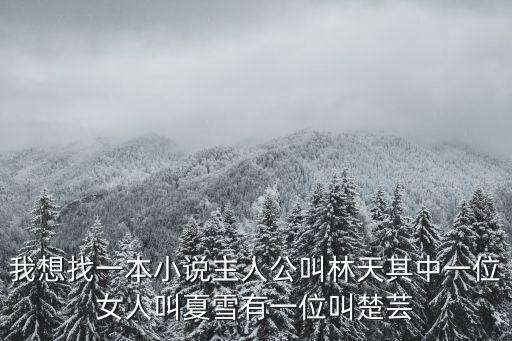 都市之空間，我想找一本小說主人公叫林天其中一位女人叫夏雪有一位叫楚蕓