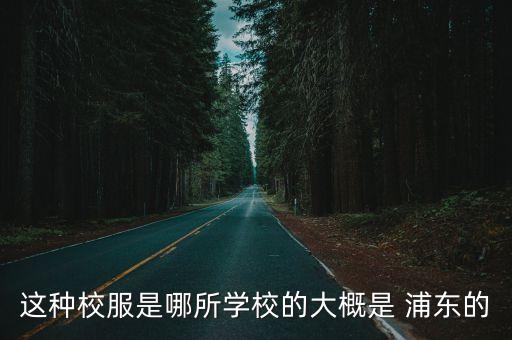 浦東未來科技學(xué)校校服，這種校服是哪所學(xué)校的大概是 浦東的