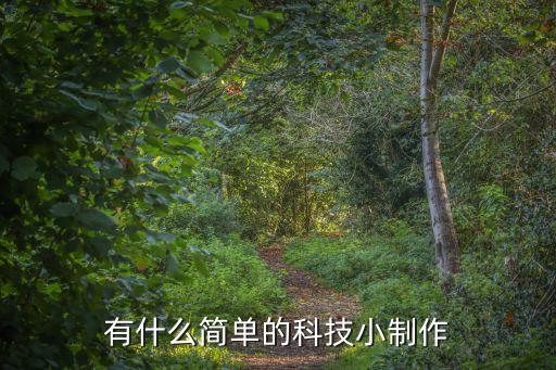 有什么簡單的科技小制作