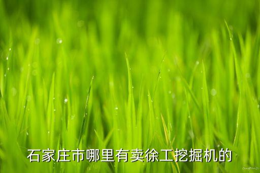 石家莊市哪里有賣徐工挖掘機(jī)的