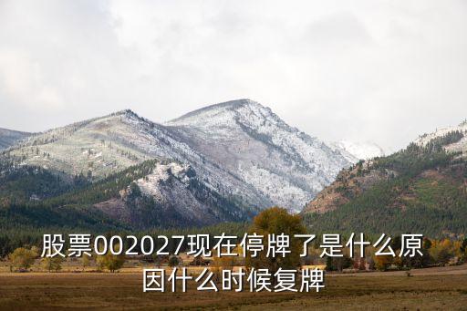 股票002027現(xiàn)在停牌了是什么原因什么時候復牌