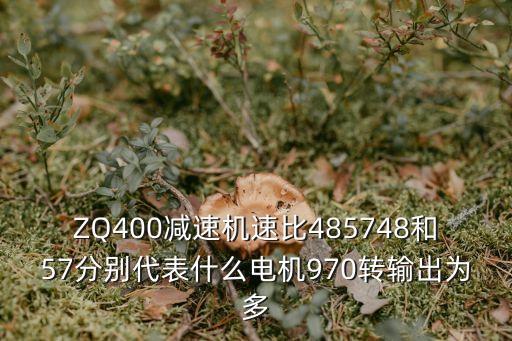 ZQ400減速機(jī)速比485748和57分別代表什么電機(jī)970轉(zhuǎn)輸出為多