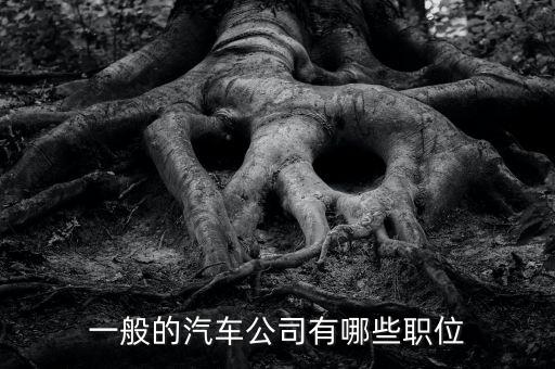 一般的汽車公司有哪些職位