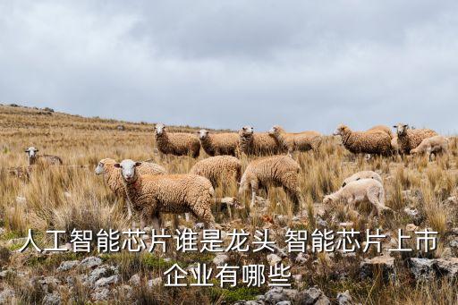 AI芯片上市公司，人工智能芯片誰是龍頭 智能芯片上市企業(yè)有哪些