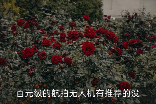 百元級(jí)的航拍無(wú)人機(jī)有推薦的沒(méi)