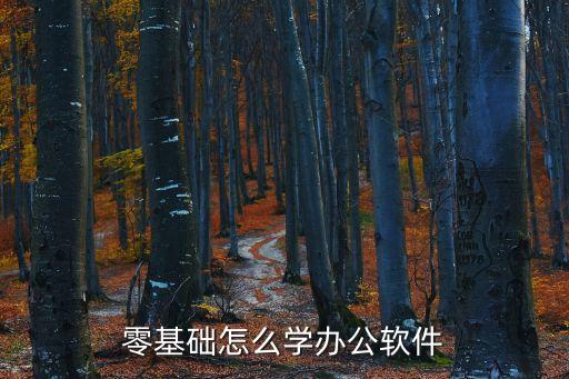 零基礎(chǔ)怎么學(xué)辦公軟件