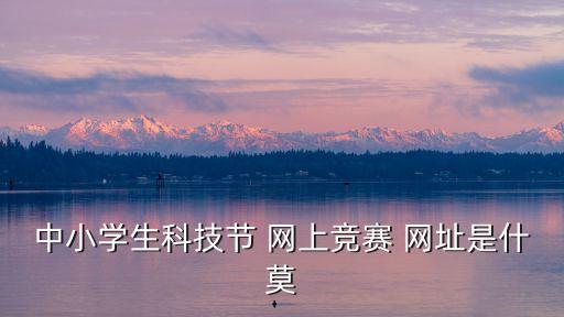 全國青少年科技創(chuàng)新大賽官網(wǎng)，全國中小學(xué)計(jì)算機(jī)競賽的網(wǎng)址