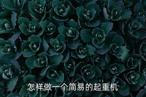 自己制作的吊機(jī)，怎樣做一個(gè)簡(jiǎn)易的起重機(jī)