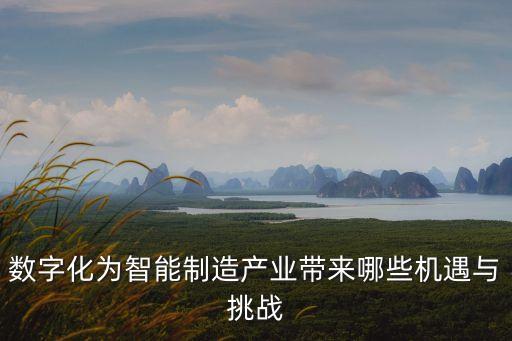 數(shù)字化為智能制造產(chǎn)業(yè)帶來(lái)哪些機(jī)遇與挑戰(zhàn)
