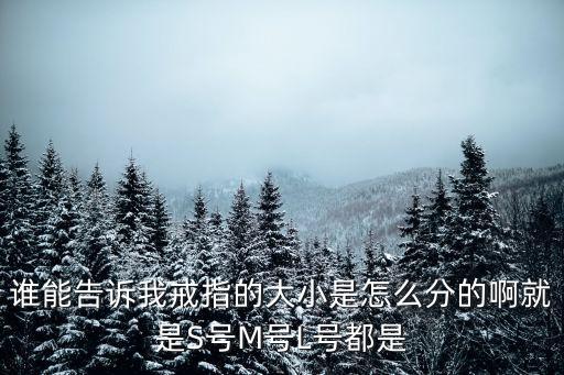 誰(shuí)能告訴我戒指的大小是怎么分的啊就是S號(hào)M號(hào)L號(hào)都是