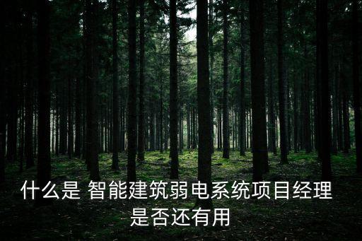 智能化系統(tǒng)集成項目經(jīng)理 有用嗎，系統(tǒng)集成項目經(jīng)理 用途