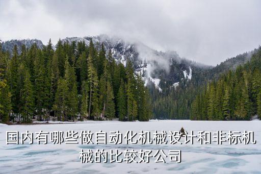 國(guó)內(nèi)有哪些做自動(dòng)化機(jī)械設(shè)計(jì)和非標(biāo)機(jī)械的比較好公司