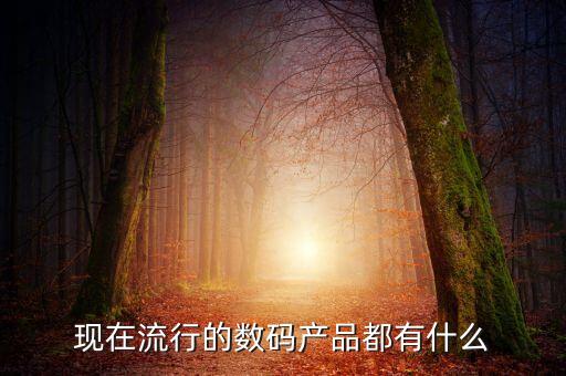 現(xiàn)在流行的數(shù)碼產(chǎn)品都有什么