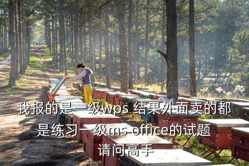 業(yè)余無線電考試題庫wps，我報的是一級wps 結果外面賣的都是練習一級ms office的試題 請問高手