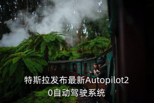 特斯拉發(fā)布自動駕駛，特斯拉新款model 3能自動駕駛嗎