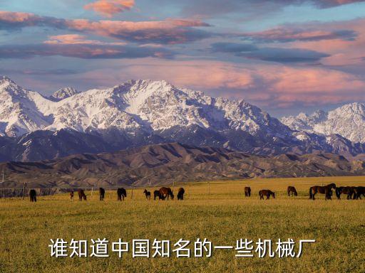 誰(shuí)知道中國(guó)知名的一些機(jī)械廠(chǎng)