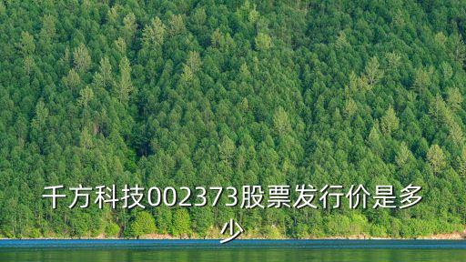 千方科技002373股票發(fā)行價是多少